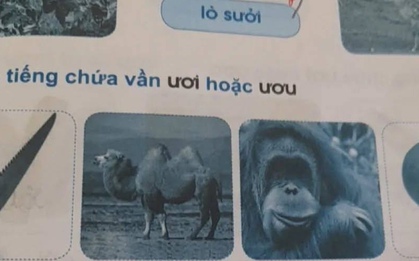 Làm bài tập nhìn hình điền từ, học sinh lớp 1 khiến dân mạng cười ra nước mắt: "Vạn vật đều thua trí tưởng tượng của các em"