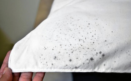 Sống qua mùa đông không lo quần áo "mốc meo", xuống tiền mua ngay chiếc máy này!