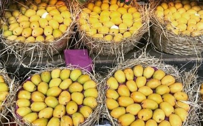 Loại quả được cựu Đại sứ Hoa Kỳ khen 'ngon nhất thế giới': Từ Á đến Âu cực mê, Việt Nam đã thu về hơn 300 triệu USD