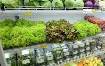 'Rau sạch' trong siêu thị: Đến người bán cũng không biết sạch thật hay không