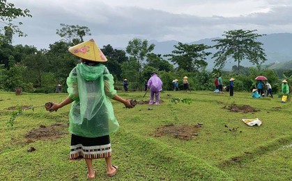 Thanh Hóa: Hiệu quả từ một chương trình phát triển nông thôn bền vững