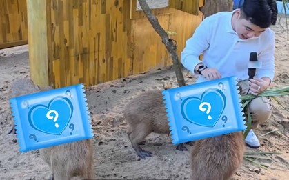 Thảo Cầm Viên mở chương trình "xé túi mù" đặc biệt, tiết lộ cái giá phải trả khi có người muốn mang "sản phẩm" về