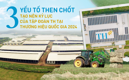 Giải mã ba yếu tố then chốt tạo nên kỷ lục của Tập đoàn TH tại Thương hiệu quốc gia 2024