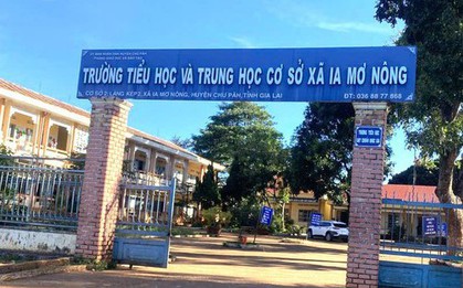 Hiệu trưởng lập khống hồ sơ, bán cây xanh, cho dạy thay chỉ bị yêu cầu "nghiêm khắc tự kiểm điểm"