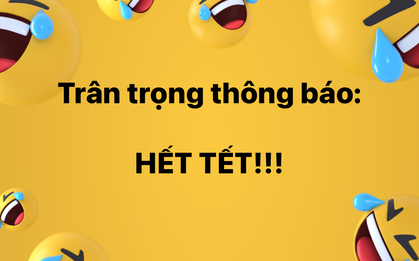 Trân trọng thông báo: Chính thức hết Tết, "đồng chí tlinh" không lên đồ nữa mà lên dây cót... đi học!
