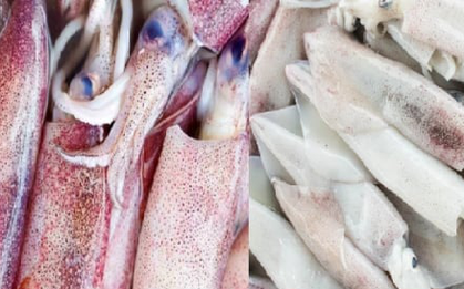 Cách phân biệt mực tươi và mực từng cấp đông