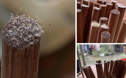 Đũa lên mốc "như hoa nở" khi trời nồm: Đem luộc nước sôi là có thể yên tâm sử dụng?