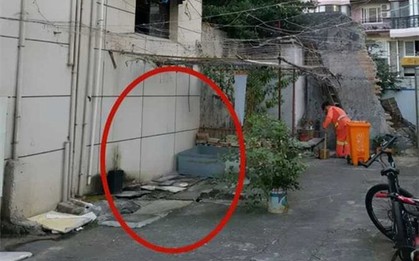Bị lao công bán mất tấm ván cũ, người phụ nữ kiện đòi 584 triệu đồng
