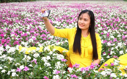 Vườn trồng cây thuốc Nam ở Cần Thơ bất ngờ trở thành điểm check-in hút khách