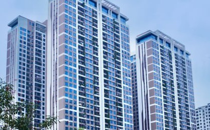 Giá chung cư tăng liên tục, nhiều người xuống tiền “lướt sóng” kiếm lời