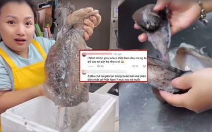 Chỉ vì clip "con mực" mà Quỳnh Trần JP khiến khán giả bức xúc, ngao ngán vì cô đã quá khác xưa