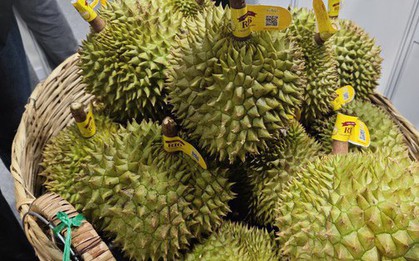 Thái Lan thu mua sầu riêng của Việt Nam để làm gì?