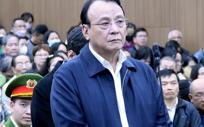 Chủ tịch Tân Hoàng Minh Đỗ Anh Dũng bị đề nghị từ 9-10 năm tù