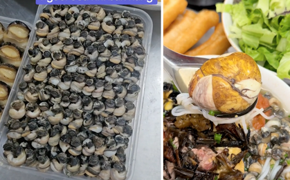 Dân mạng truy lùng hàng bún ốc OCD: Từng con ốc xếp hàng thẳng tắp, nhìn mà thấy nể chủ quán