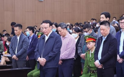 Chủ tịch Tân Hoàng Minh Đỗ Anh Dũng lĩnh 8 năm tù