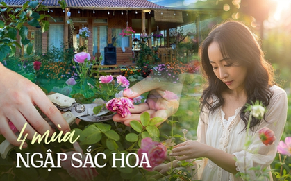 Mất 3 năm hoàn thiện được khu vườn nhỏ 18m2 trở thành "biển hoa" nhưng thành quả khiến ai cũng phải trầm trồ ngợi khen