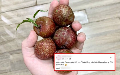 40k chỉ mua được 5 quả mận: Người ngậm ngùi "chịu trận" vì mận đầu mùa, người than thở vì giá trên trời
