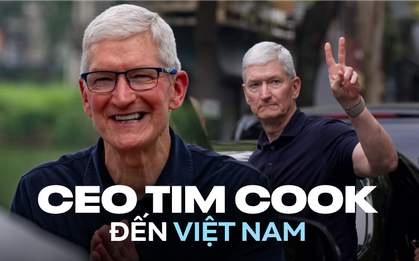 Clip lịch trình kín mít của Tim Cook ở Việt Nam: Uống cafe trứng, cắn hạt hướng dương, dạo vài vòng Hồ Gươm, gặp từ Diva Mỹ Linh - Mỹ Anh đến Suboi, Phương Vũ, Duy Thẩm