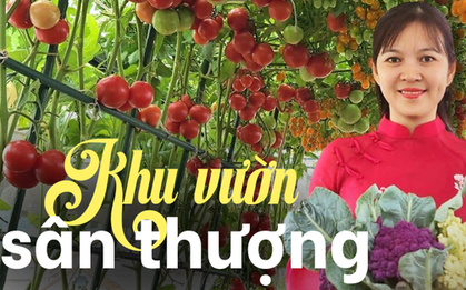 Mẹ đảm mê trồng cây sân thượng: Rau củ ăn quanh năm không hết phải mang tặng, vườn đẹp đến nỗi đồng nghiệp lẫn học sinh mầm non đến check-in