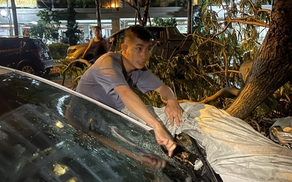 Hà Nội mưa lớn kèm dông lốc làm cây đổ hàng loạt, nhiều ô tô bẹp rúm