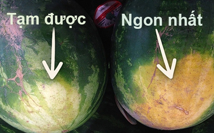 Nắng nóng đã về, chọn dưa hấu giải nhiệt nhớ chú ý điểm này, mua 10 trúng cả 10 quả ngon ngọt