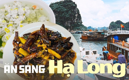 Đi Hạ Long nghỉ lễ đừng quên ăn sáng với 4 món này, dân local như Ninh Anh Bùi đã mách thì "chẳng trượt phát nào"