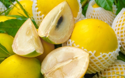 Loại quả ngọt mọng tốt ngang nhân sâm, chỉ duy nhất Việt Nam xuất khẩu trên thế giới: Vừa hạ đường huyết, vừa bơm máu hiệu quả