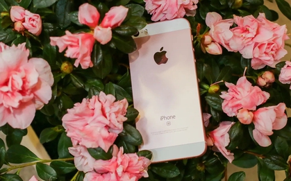 Tin buồn cho những ai đang sử dụng mẫu iPhone này, bán đổi máy ngay vì nó sắp thành "cục gạch"