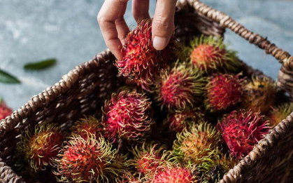 Loại quả "lông lá" giúp chặn đứng ung thư, tốt cho tim mạch, ở Việt Nam đang vào mùa