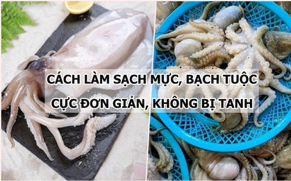 Bật mí cách làm sạch mực, bạch tuộc cực nhanh gọn và đơn giản