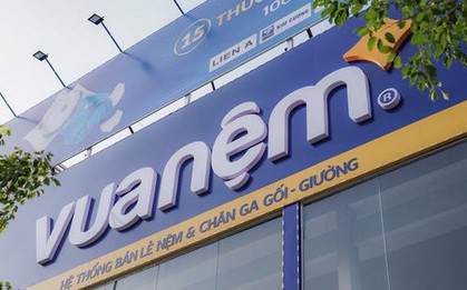 Chuỗi bán nệm lớn nhất cả nước báo lỗ gần 80 tỉ đồng