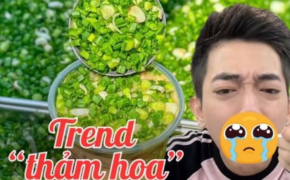 "Thảm họa" trà sữa hành lá: Câu tương tác là chính chứ chẳng mấy ai dám thử, trend gì cũng cần giữ sự tò mò trong khuôn khổ an toàn!
