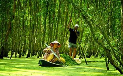 Khu rừng ở Việt Nam được thế giới xếp hạng quý hiếm