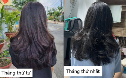 4 tháng ủ tóc với nha đam và lọ dầu dừa giá 60k, cô nàng nhận về mái tóc mềm mại, đen bóng ai nhìn cũng mê