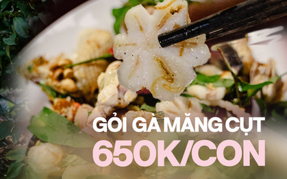Trải nghiệm đến "xứ sở măng cụt" Lái Thiêu thăm vườn trái cây và ăn gỏi gà nức tiếng: Giá 650.000VNĐ/con liệu có thực sự đáng tiền?
