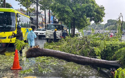 Cây xanh bật gốc, giao thông rối loạn trong cơn mưa lớn chiều nay ở TPHCM