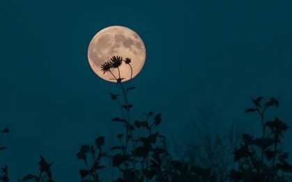Ngắm 'Trăng hoa', trăng tròn gần một ngôi sao siêu khổng lồ đỏ
