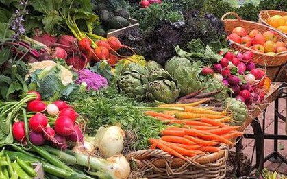 Loại củ “giòn sần sật” giúp đẩy lùi ung thư