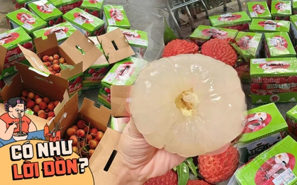 "Rón rén" ăn thử vải trứng khổng lồ giá 1 triệu đồng/thùng, hương vị liệu có ngon "vượt trội" như lời đồn?
