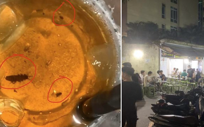 Ăn cơm được "tặng" 4 con gián trong cốc nước nhân trần, chủ quán vẫn thản nhiên: "Sơ suất là bình thường"