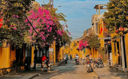 Con đường 1 km ở Hội An vào top đẹp nhất thế giới