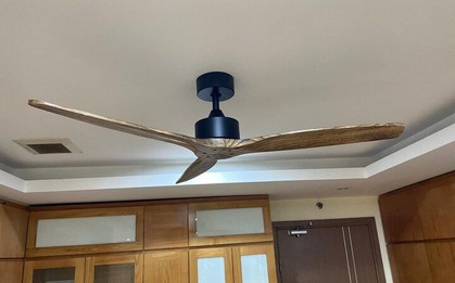 Vì sao cánh quạt thường là số lẻ?