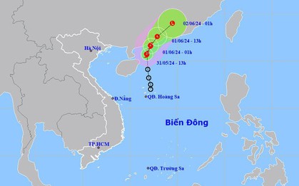 Áp thấp nhiệt đới mạnh lên thành bão số 1, gió giật cấp 10