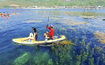 'Cánh đồng vàng' rong mơ làng Nhơn Hải hút hồn du khách