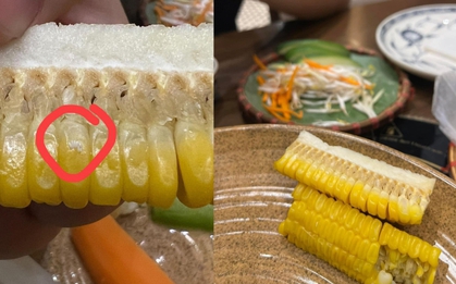 Vụ khách tố có trứng côn trùng trên bắp ngô nhưng nhân viên lại nói là "sữa ngô": Đại diện nhà hàng chính thức lên tiếng!