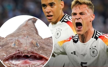 Bật mí lý do tuyển Đức mê mệt món cá mặt quỷ