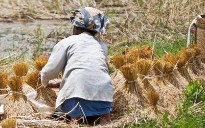 Tôi 62 tuổi, giờ hối hận: Lấy chồng như đánh canh bạc, sống khổ đến gần hết đời, giờ chỉ biết dựa vào con