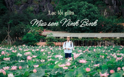 Mùa sen Ninh Bình bắt đầu nở rộ rồi, thời điểm đẹp nhất để "săn ảnh" hoa sen đây chứ đâu!