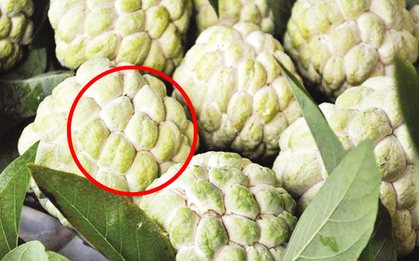 Nên mua na mắt to hay na mắt nhỏ, nhiều mắt hay ít mắt? Thì ra bấy lâu nay rất nhiều người hiểu sai