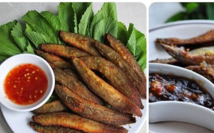 Loài cá được gọi là 'nhân sâm dưới nước' bổ gan, bổ thận